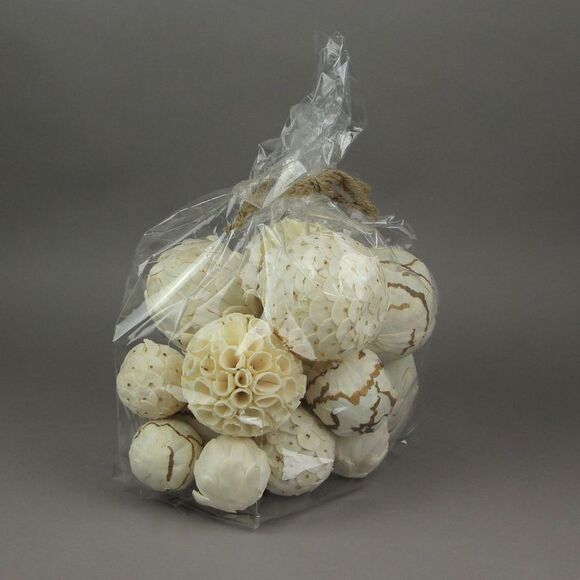 18 Piece Natural White and Brown Exotic Dried Organic Decor Balls - Picture 7 of 7